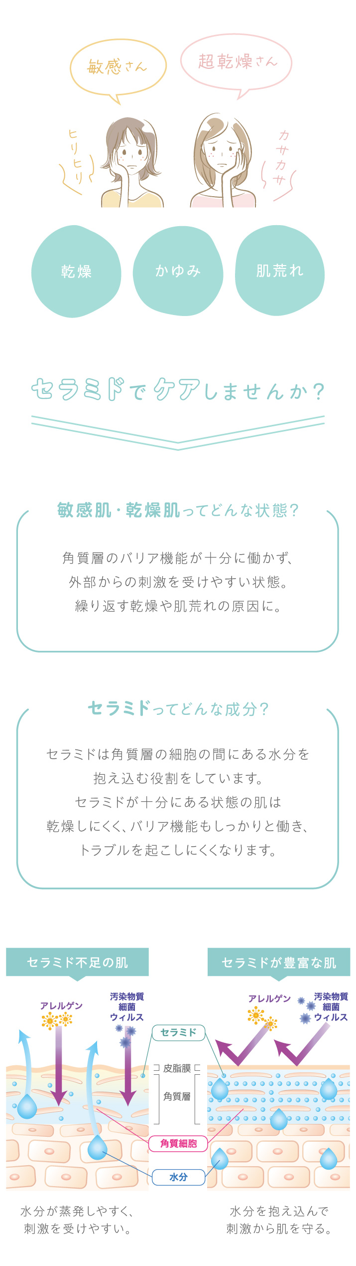敏感肌のヒリヒリ、乾燥肌のカサカサ、乾燥、かゆみ、肌荒れ、セラミドでケアしませんか？敏感肌・乾燥肌は、角質層のバリア機能が十分に働かず、外部からの刺激を受けやすい状態。繰り返す乾燥や肌荒れの原因になります。セラミドは角質層の細胞の間にある水分を抱え込む役割をしています。セラミドが十分にある状態の肌は、乾燥しにくく、バリア機能もしっかりと働き、トラブルを起こしにくくなります。