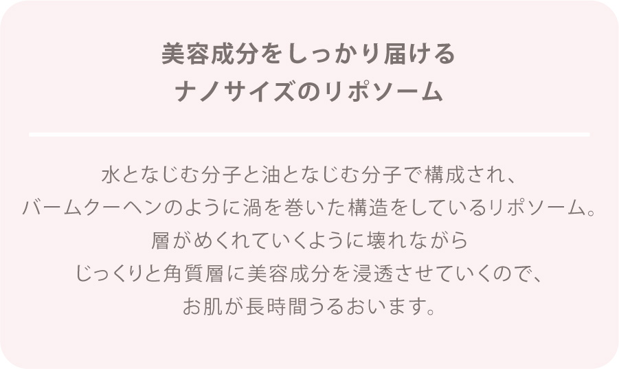 美容成分をしっかり届けるナノサイズのリポソーム