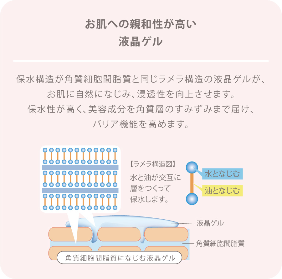 お肌への親和性が高い液晶ゲル