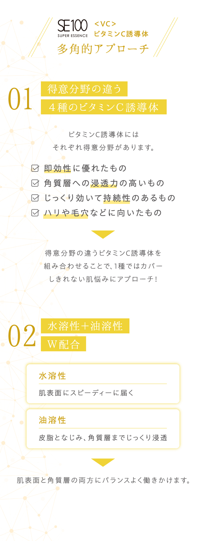 得意分野の違う4種のビタミンC誘導体。水溶性と油溶性をダブルで配合
