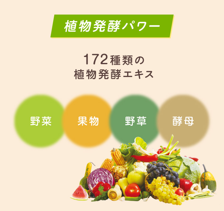 植物発酵パワー 野菜・果実・野草・酵母を使用した172種類の植物発酵エキス