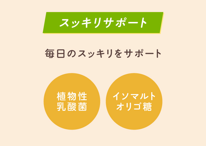 スッキリサポート 植物性乳酸菌 イソマルトオリゴ糖
