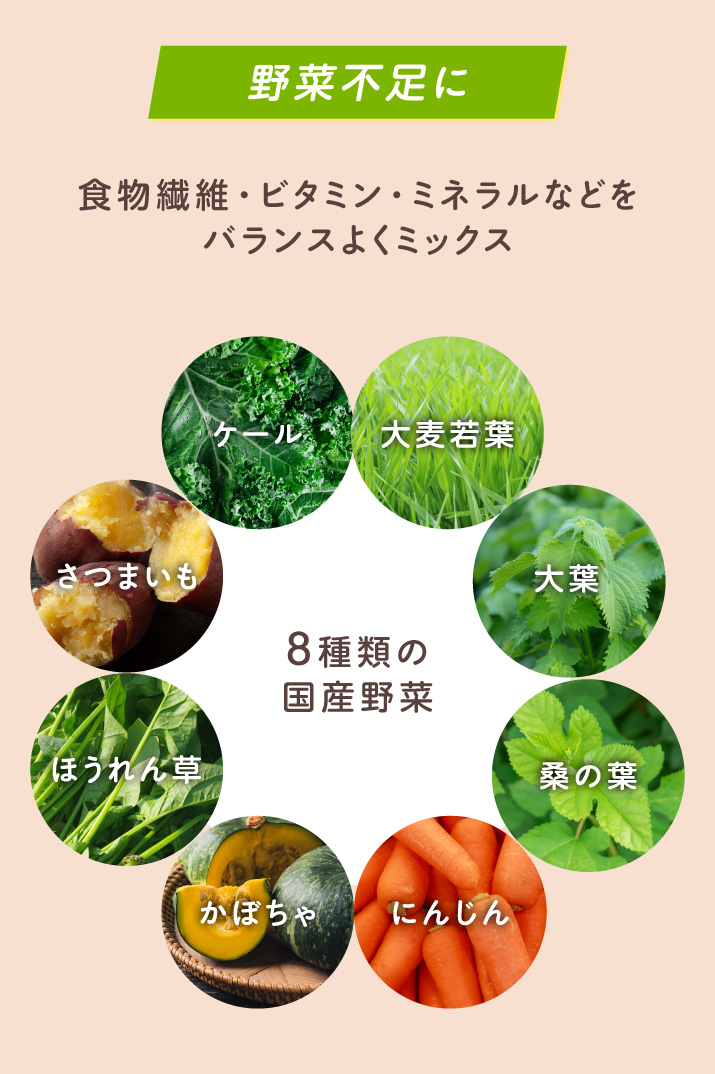 8種類の国産野菜 大麦若葉 大葉 桑の葉 にんじん かぼちゃ ほうれん草 さつまいも ケール