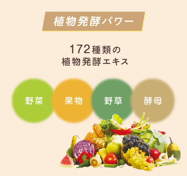 植物発酵パワー 野菜・果実・野草・酵母を使用した172種類の植物発酵エキス