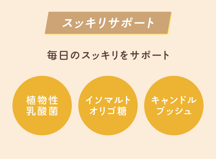 スッキリサポート 植物性乳酸菌 イソマルトオリゴ糖 キャンドルブッシュ
