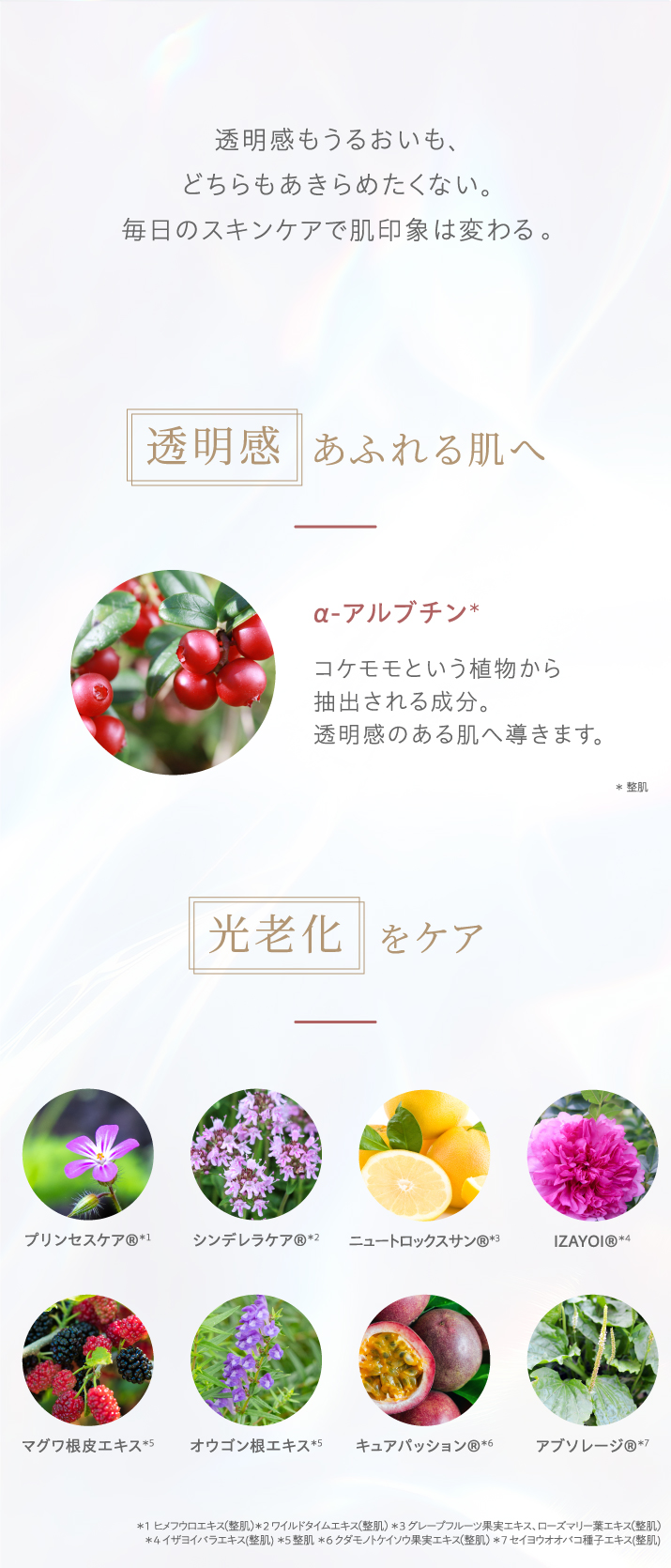 透明感もうるおいも、どちらもあきらめたくない。毎日のスキンケアで肌印象は変わる。透明感あふれる肌へ。光老化をケア。