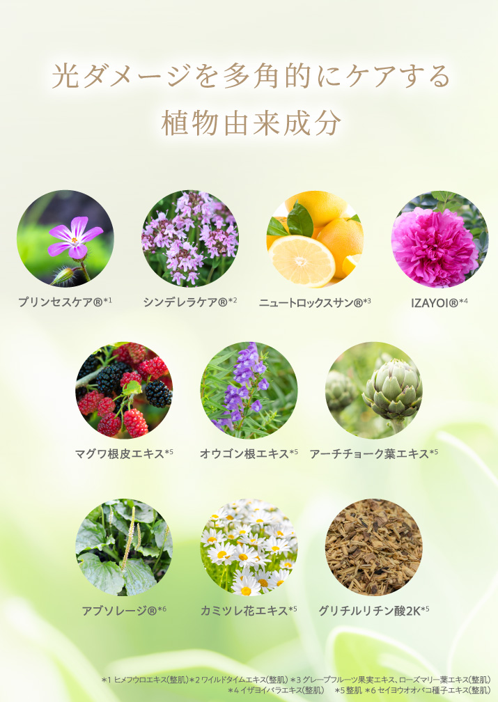 光ダメージを多角的にケアする植物由来成分