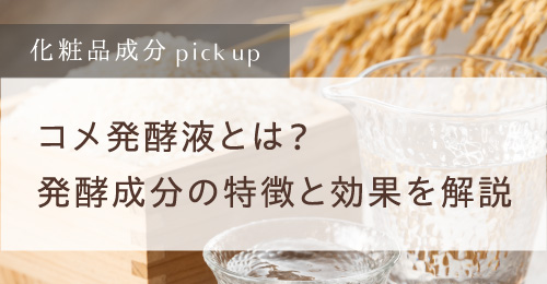 コメ発酵液とは？発酵成分の特徴と効果を解説