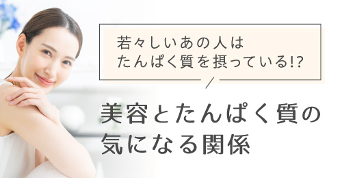 美容とたんぱく質の気になる関係
